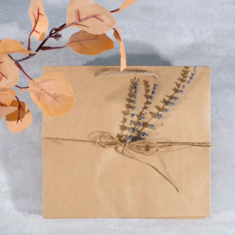 kraft paper bag set, simple design, strong handle, sturdy paper material, reusable, eco friendly solution