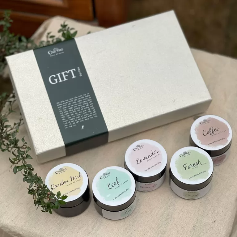 set quà 5 hũ nến thơm mini, onatree, chus