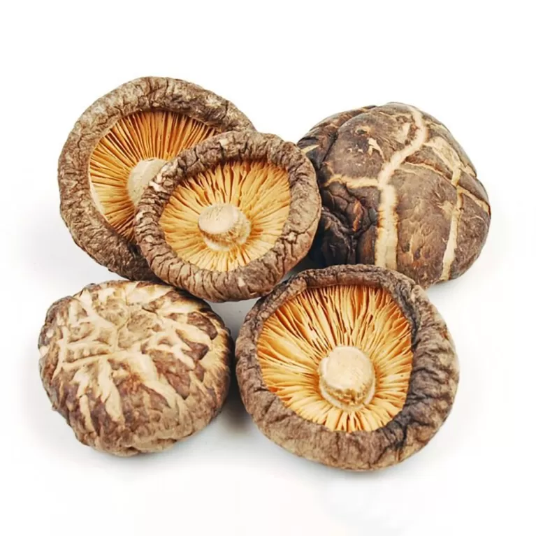 poco dried shiitake mushroom, nutritional food, dried mushrooms, pure dried shiitake mushrooms, dried shiitake caps