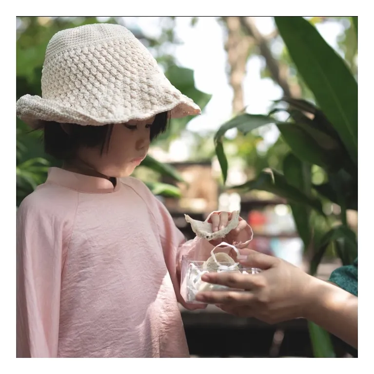 Raw Bird's Nest from House Farm, a luxurious health gift, preserves the essence of a precious offering, making it an easy-to-prepare and nutritious farmed bird's nest for health-conscious individuals