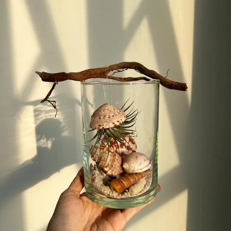 The Flying Jellyfish Jar is a creatively shaped seashell jar, a mesmerizing DIY artwork in glass, bringing the ocean home - a perfect artistic decoration and gift for her.