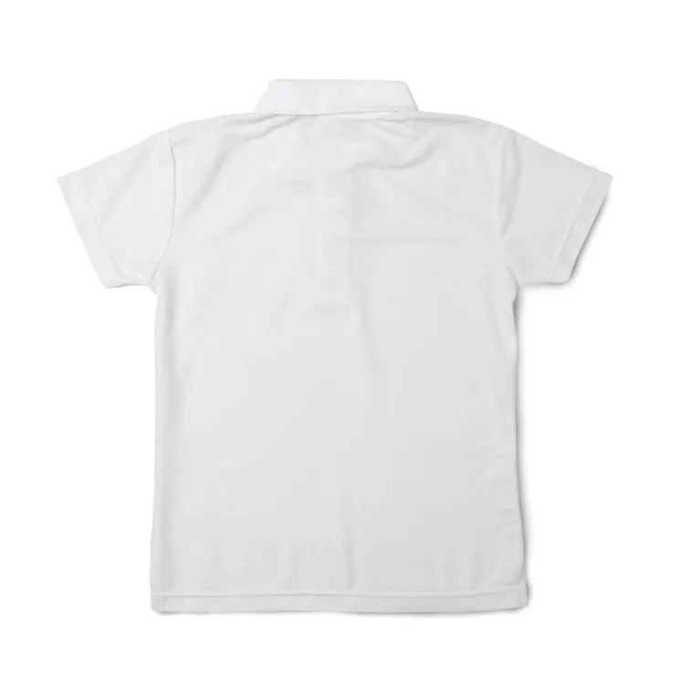 Áo Polo Đồng Phục In Theo Yêu Cầu – Giải pháp hoàn hảo cho Đồng Phục Công Ty Cao Cấp & Thiết Kế Sang Trọng, phù hợp cho áo lớp, quà tặng doanh nghiệp với dịch vụ Tư Vấn Thiết Kế & Ưu Đãi Giá Sỉ hấp dẫn