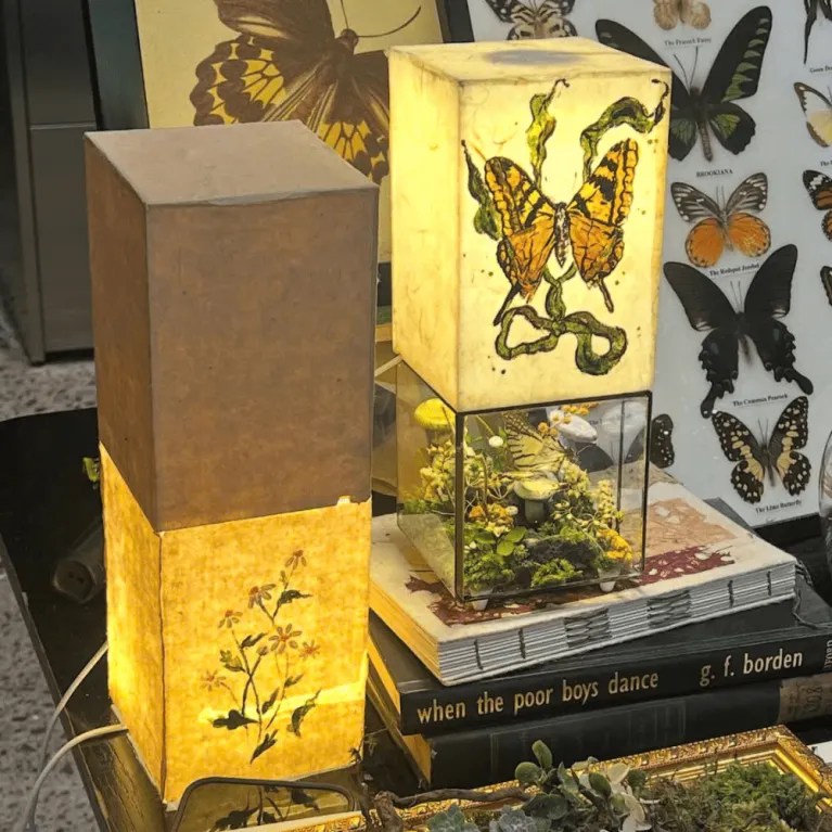 "Fairy Light" Terrarium Box features a real butterfly specimen, dried flowers, and a handmade do paper lamp, creating a dreamy fairy-tale gift.