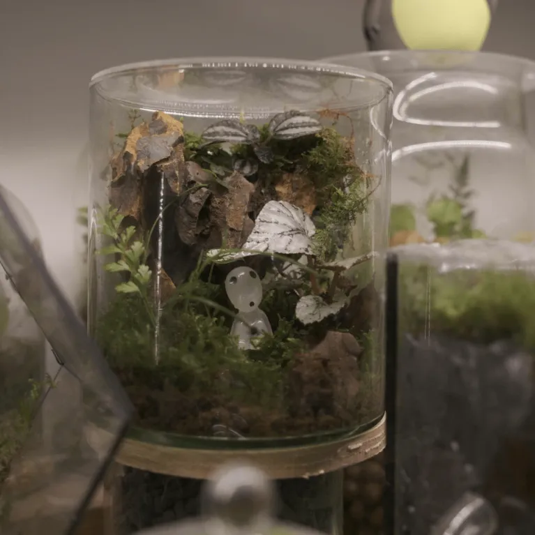 Bồn cảnh thủy tinh Terrarium mang đến góc thiên nhiên thu nhỏ sinh động, dễ chăm sóc, thích hợp làm quà sinh nhật hay quà lưu niệm Việt Nam.Bồn cảnh thủy tinh Terrarium mang đến góc thiên nhiên thu nhỏ sinh động, dễ chăm sóc, thích hợp làm quà sinh nhật hay quà lưu niệm Việt Nam.