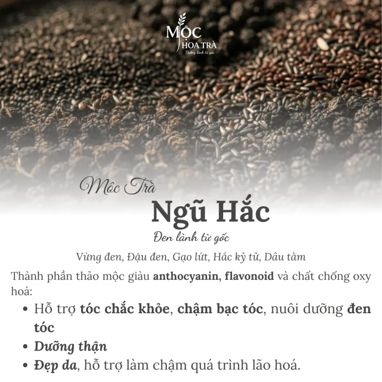 Mộc Trà Ngũ Hắc với 5 loại thảo mộc sấy lạnh giúp dưỡng tóc đen mượt, khỏe dài, dễ pha chế và thích hợp làm quà chăm sóc sắc đẹp cho nữ.