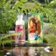 thom cuc' sanitizer spray, air antibacterial spray, car perfume, interior deodorizer, car odor remover