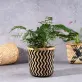 giỏ tre đựng cây, thiết kế đơn giản, món đồ trang trí bình dị, điểm nhấn cho cây để bàn, sản phẩm chắc chắn và dày dặn