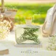 tinh dầu khuếch tán muse, hương thơm nhẹ nhàng, xuất xứ rõ rãng, anh toàn khi sử dụng, quà tặng xinh xắn, tinh dầu thiên nhiên, tinh dầu hoa nén, chus