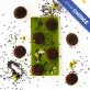Thanh Chocolate Bark Matcha, PPG Handmade Chocolate, chus