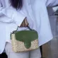 Small Little Joy Ver.2 Water Hyacinth Bag, Green Leather Strap Bag, Carry Essentials In Style, Natural Elegance Meets Modern Luxury, Personalized Gift