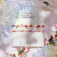 Hộp Quà Vòng Tay Miyuki Hoa Cúc Nhiều Màu Được Làm Thủ Công Từ Hạt Cườm Cao Cấp, Tạo Nên Một Món Quà Giáng Sinh Ý Nghĩa Cho Người Yêu Thương