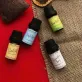 tinh dầu cà phê tốt cho trị liệu, sản phẩm thiên nhiên không hóa chất, mùi hương giúp giải tỏa stress, việt nam, chuyện nhà dừa, chus
