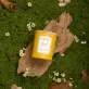 Set quà tặng nến thơm Tranquil Essence hương thiền thư giãn, nến thơm sáp thiên nhiên hương thơm tinh tế quà sinh nhật tân gia sang trọng
