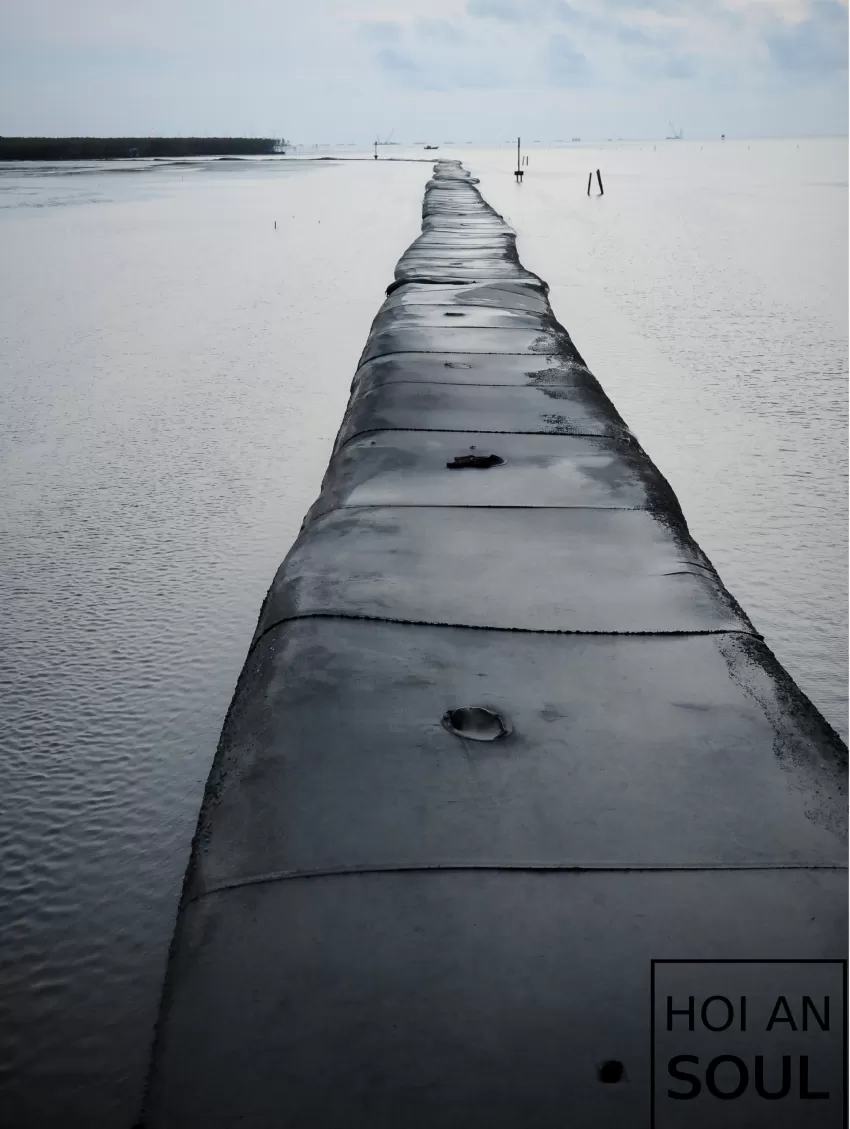 “The Path” Photograph, Taken From Nha Mat Beach In Bac Lieu, Capturing Tranquil Seaside Scenery, Depicting The Beauty Of Nature