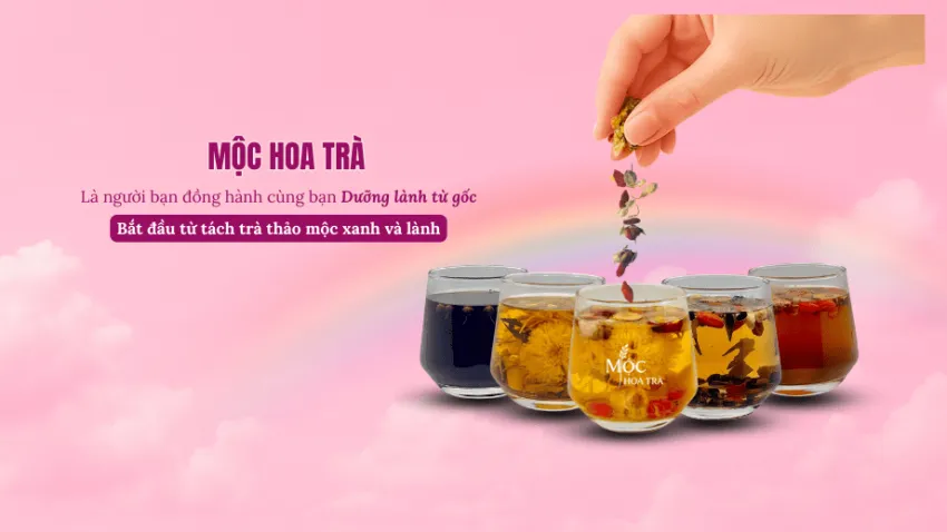 Mộc Hoa Trà Dưỡng Lành Từ Gốc