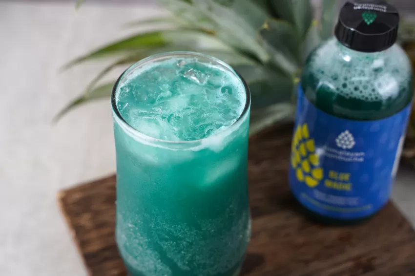 Blue Magic Kombucha