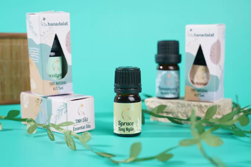 Spruce Essential Oil Spruce Essential Oil