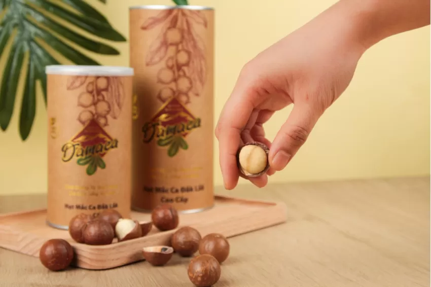 Natural Macadamia Nuts Size 2 (22-26mm), Natural Macadamia Nuts, Healthy Snacks, Nutritious Nuts, Cracked Shell Macadamia Nuts