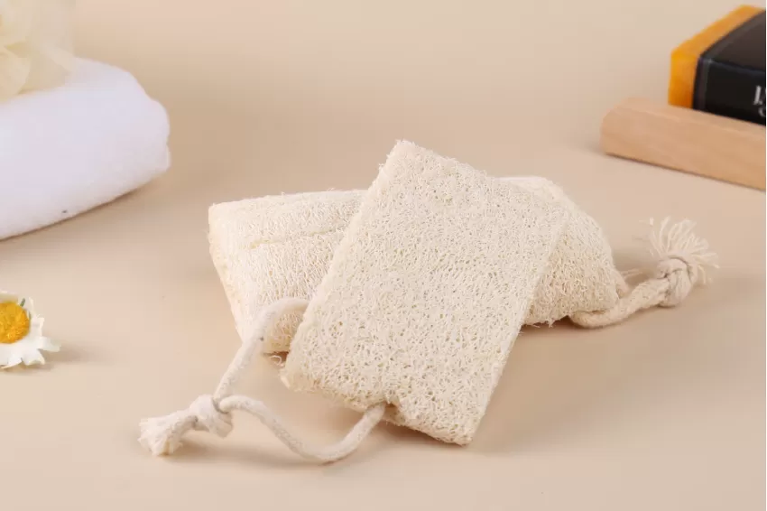 Natural Loofah Sponge Natural Loofah Sponge