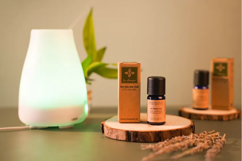 True Lavender Essential Oil - Purifying Your Room