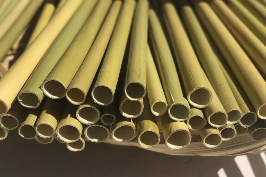 Grass Straws, 500 Pieces, Alternative to Plastic Straws, Natural Material, Easily Biodegradable, Environmentally Friendly, Green Lifestyle