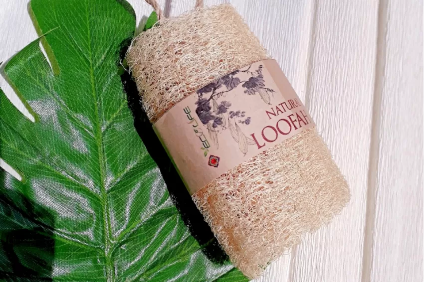 Circle Natural Loofah Sponge