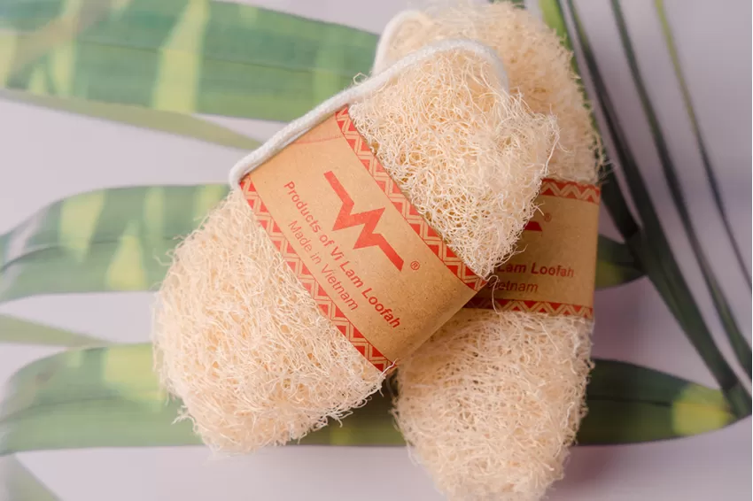 Raw Loofah, Multipurpose Usage, Used as a Body Scrub to Exfoliate Dead Skin Cells, Versatile Cleaning Tool, Safe for Skin