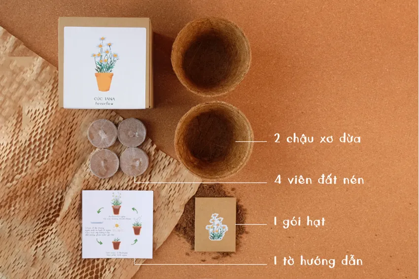 Kiss The Ground Diy Planting Set, Cilantro, Includes Coconut Fiber Pot And Seeds, Eco-Friendly, A Gift For Gardening Enthusiasts Kiss The Ground Diy Planting Set, Cilantro, Includes Coconut Fiber Pot And Seeds, Eco-Friendly, A Gift For Gardening Enthusiasts