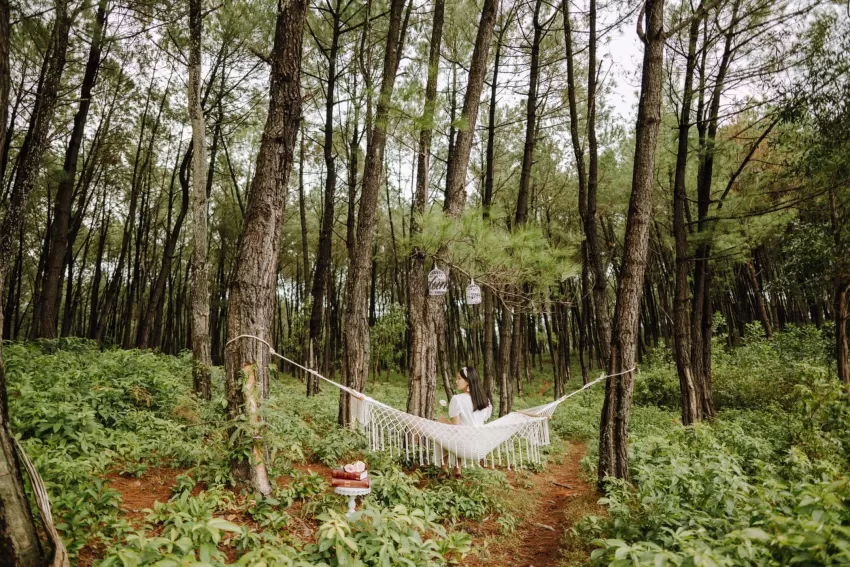 White Canvas Hammock, Natural and Soft Material, Strong Weight Capacity, Safe to Use, Suitable for Various Spaces