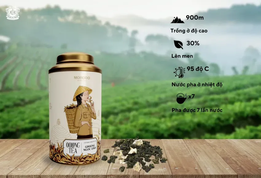 Premium Ngọc Linh Ginseng Oolong Tea, 100Gr, Finest Vietnamese Oolong Tea, Healthy And Refreshing Beverage, Exquisite Packaging, Tea Gift, Gift Ideas, Corporate Gift