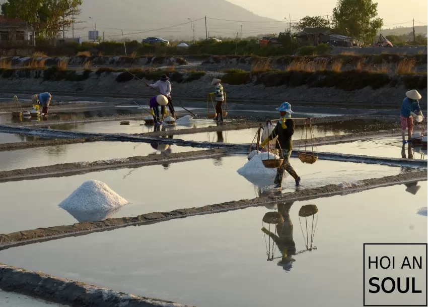 “Salt Field” Photograph At Hon Khoi, The Traditional Salt-Making Occupation Of Vietnam, Showcasing The Beauty Of Labor Of The Farmers