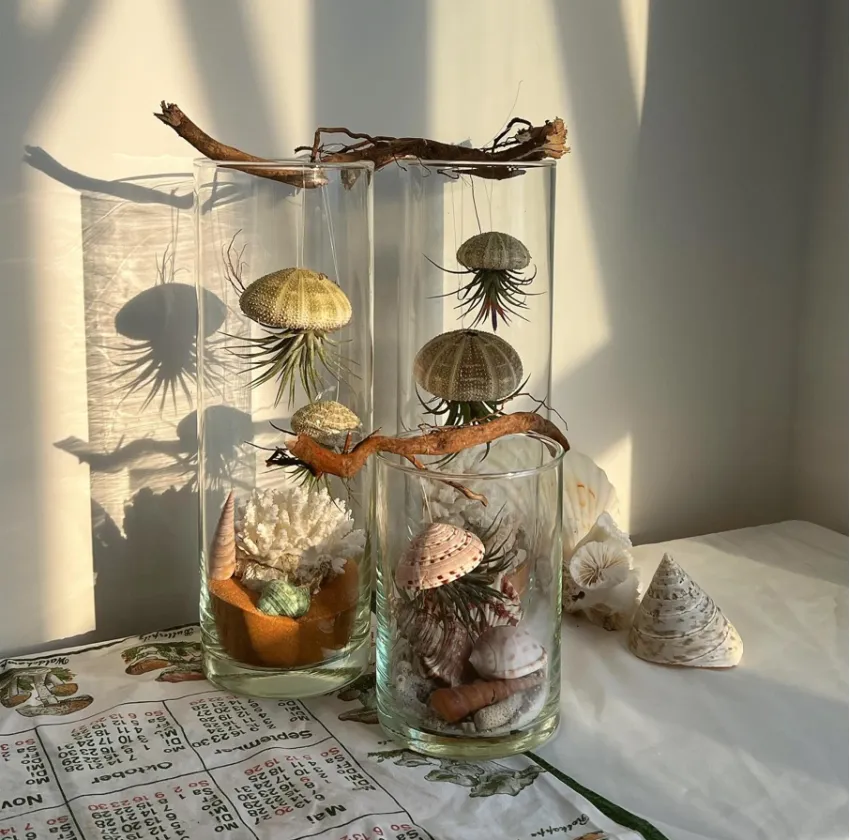 Flying Jellyfish Jar, Bringing The Ocean Home, DIY Artwork In A Glass Jar, Creatively Shaped Seashell Jar, Decoration, Gift For Her, Artistic Gift