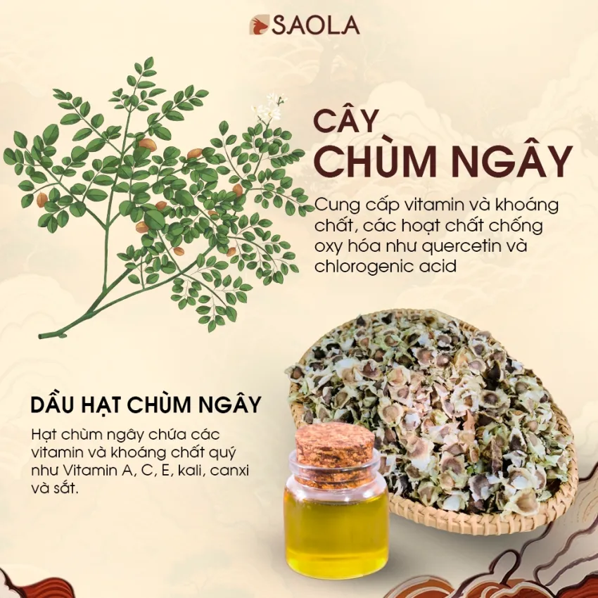 Dầu Hạt Chùm Ngây, Dưỡng Da & Tóc Khỏe Mạnh, Tinh Dầu Hương Thảo Dược Dễ Chịu, Tinh Dầu Thiên Nhiên Chăm Sóc Da, Tinh Dầu Mọc Tóc, An Toàn Cho Mẹ Bầu