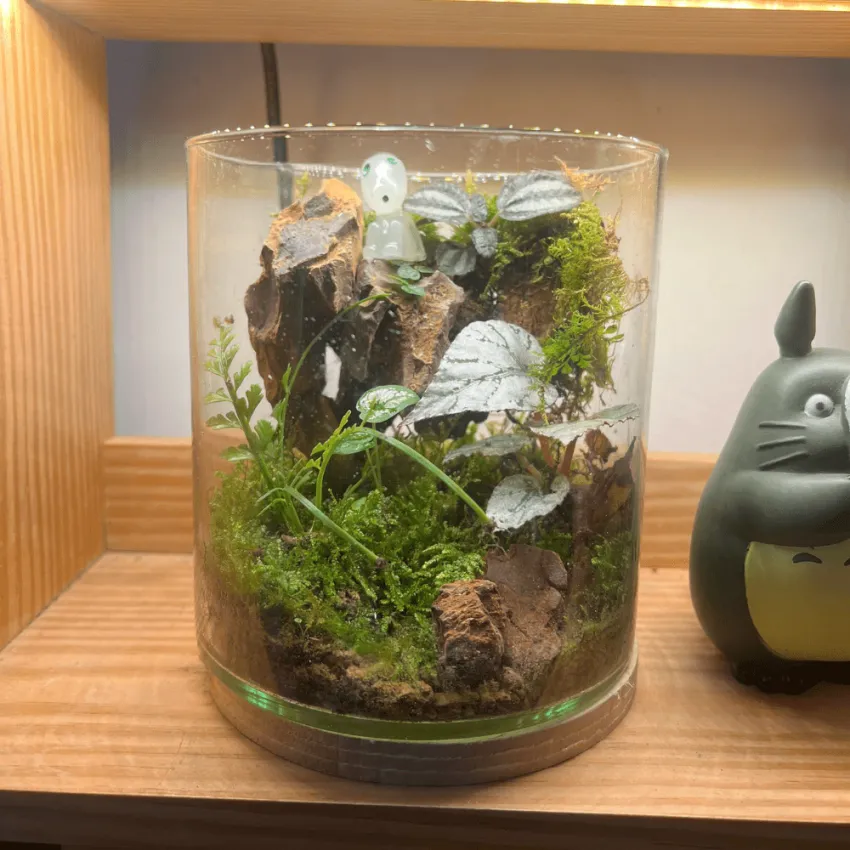Glass Terrarium, Closer Connection with Nature, Terrarium Lanscape, Lively Glass Paludarium, Easy To Care, Vietnamese Souvenir, Impressive Birthday Gift Glass Terrarium, Closer Connection with Nature, Terrarium Lanscape, Lively Glass Paludarium, Easy To Care, Vietnamese Souvenir, Impressive Birthday Gift