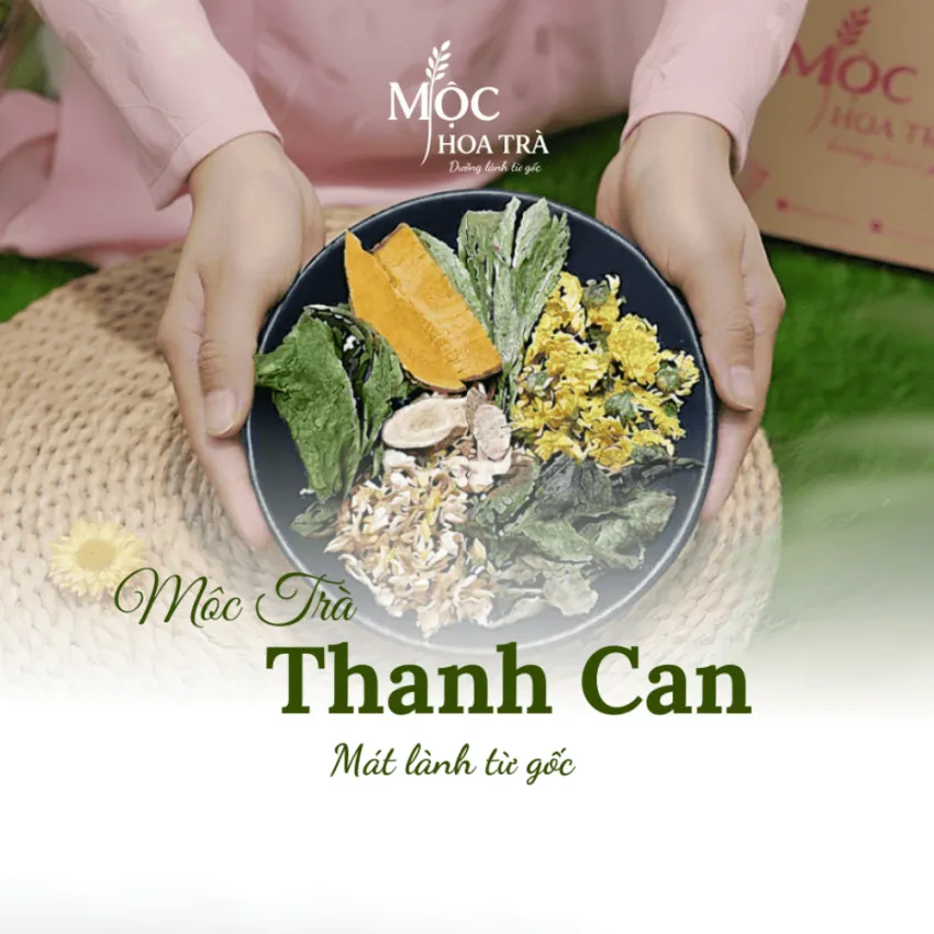 Mộc Trà Thanh Can, Trà Thảo Mộc 6 Vị Hỗ Trợ Mát Gan, Trà Giải Nhiệt Hiệu Quả, Trà Thảo Mộc Thanh Lọc Cơ Thể, Gói Quà Chỉn Chu, Quà 20/10, Quà Cho Nữ