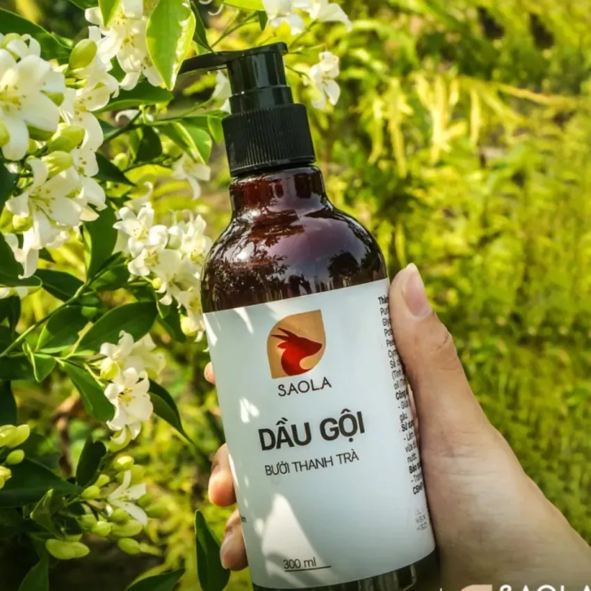 Combo chai xịt tóc tinh dầu bưởi và dầu gội bưởi thanh trà món quà từ thiên nhiên xứ Huế, combo dưỡng tóc thành phần tự nhiên chăm sóc tóc Combo chai xịt tóc tinh dầu bưởi và dầu gội bưởi thanh trà món quà từ thiên nhiên xứ Huế, combo dưỡng tóc thành phần tự nhiên chăm sóc tóc