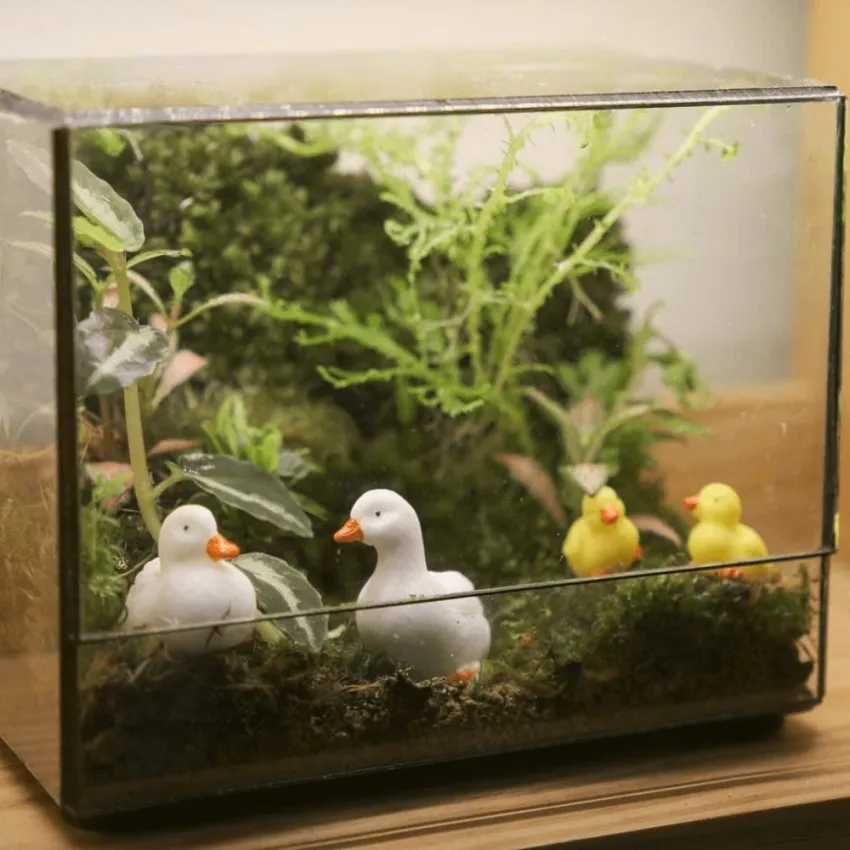 The Glass Terrarium landscape creates a lively miniature nature scene that is easy to care for, making it a unique Vietnamese souvenir or birthday gift. The Glass Terrarium landscape creates a lively miniature nature scene that is easy to care for, making it a unique Vietnamese souvenir or birthday gift.