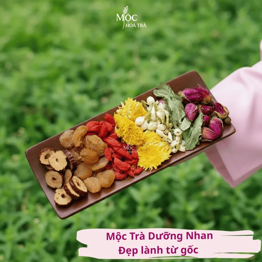 Mộc Trà Dưỡng Nhan với 7 vị hoa thảo mộc thiên nhiên, giúp đẹp da, dưỡng khí huyết và là món quà sức khỏe tinh tế cho phái nữ.