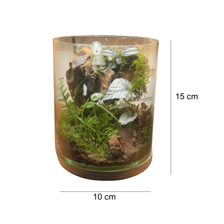 Glass Terrarium, Closer Connection with Nature, Terrarium Lanscape, Lively Glass Paludarium, Easy To Care, Vietnamese Souvenir, Impressive Birthday Gift Glass Terrarium, Closer Connection with Nature, Terrarium Lanscape, Lively Glass Paludarium, Easy To Care, Vietnamese Souvenir, Impressive Birthday Gift